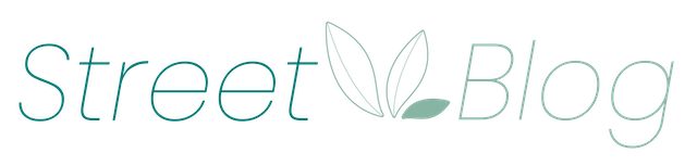 logo streetblog.pl